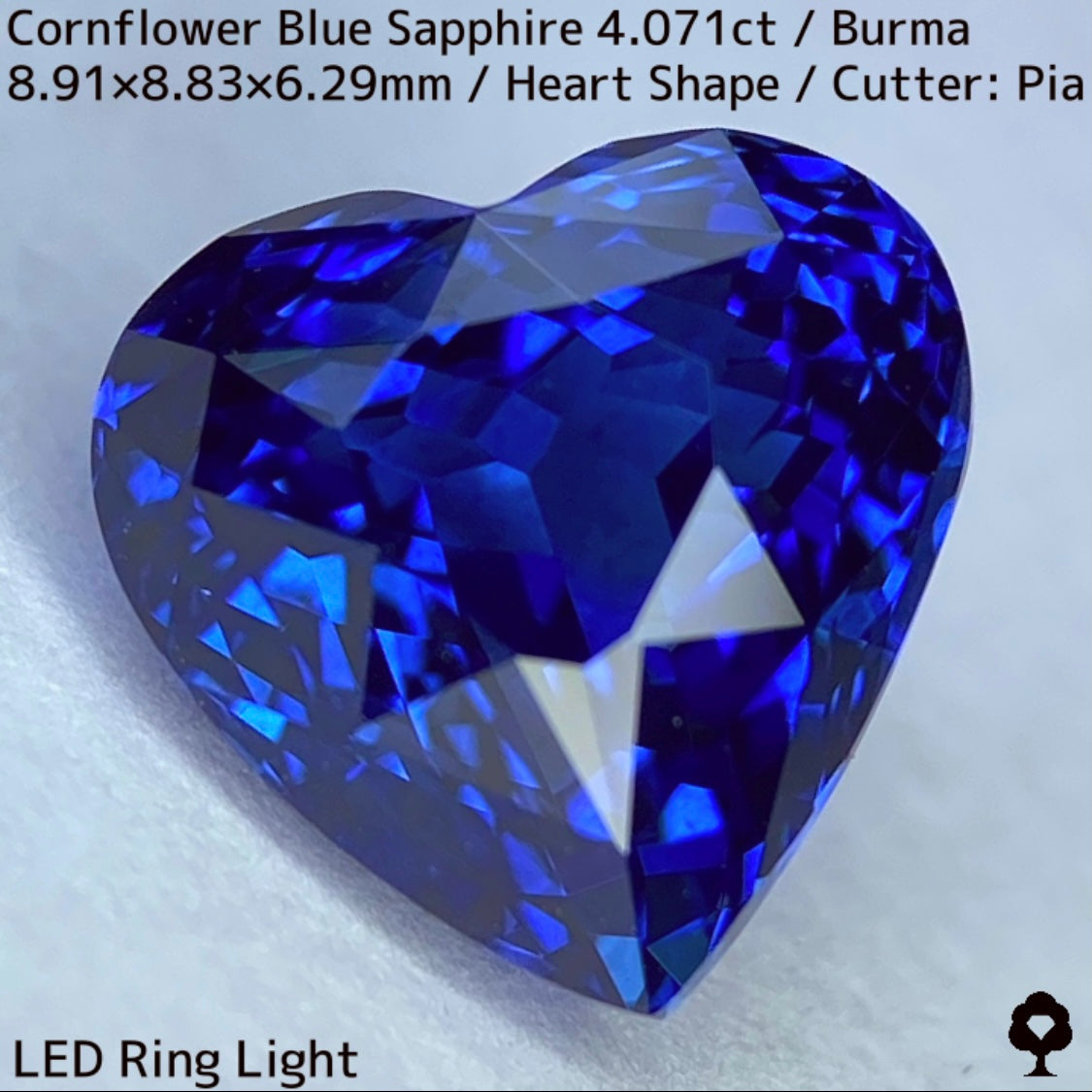 ビルマ産コーンフラワーブルーサファイア4.071ct★ロイヤルブルー寄りの濃いめ最高コーンフラワーブルーが美しすぎる超一級品