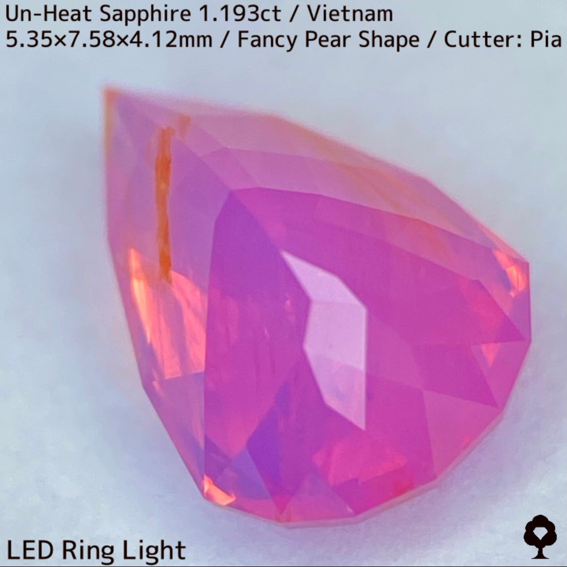 【ご当選者さま専用】ベトナム産非加熱サファイア1.193ct★コランダムフォーカス抽選販売プライス