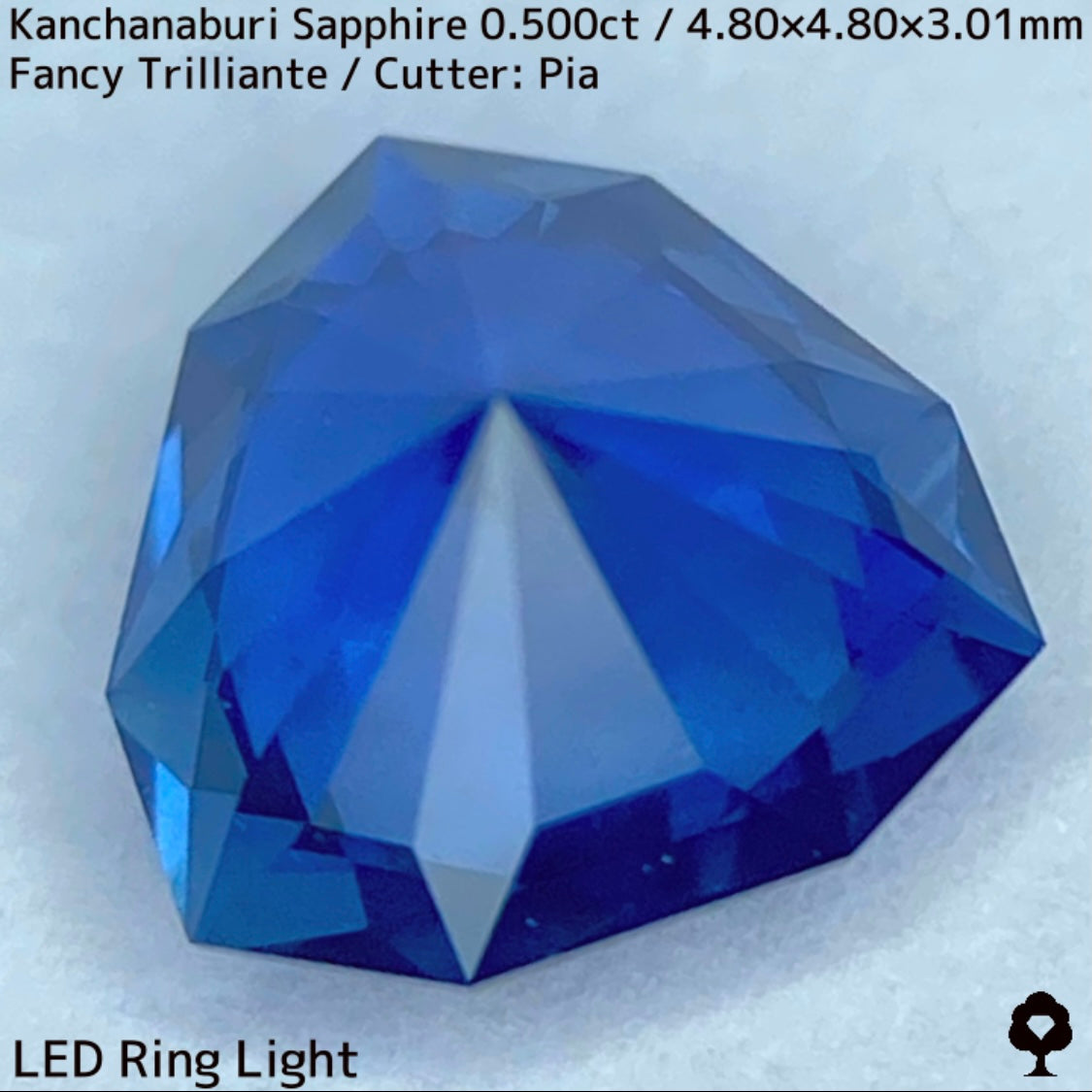 【GW特別企画★30%まほチケキャッシュバック】カンチャナブリー産サファイア0.500ct★シルキーでグリニッシュなカンチャブルーから鋭いナリカーの煌めき