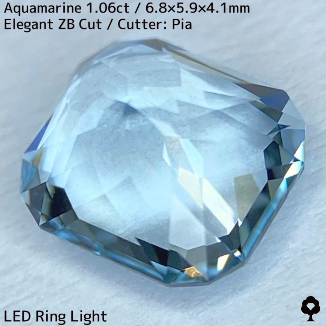 【お客さま専用】3月誕生石プライス★アクアマリン1.06ct★煌めき溢れるエレガントカットに宝石の形浮かぶZBカット