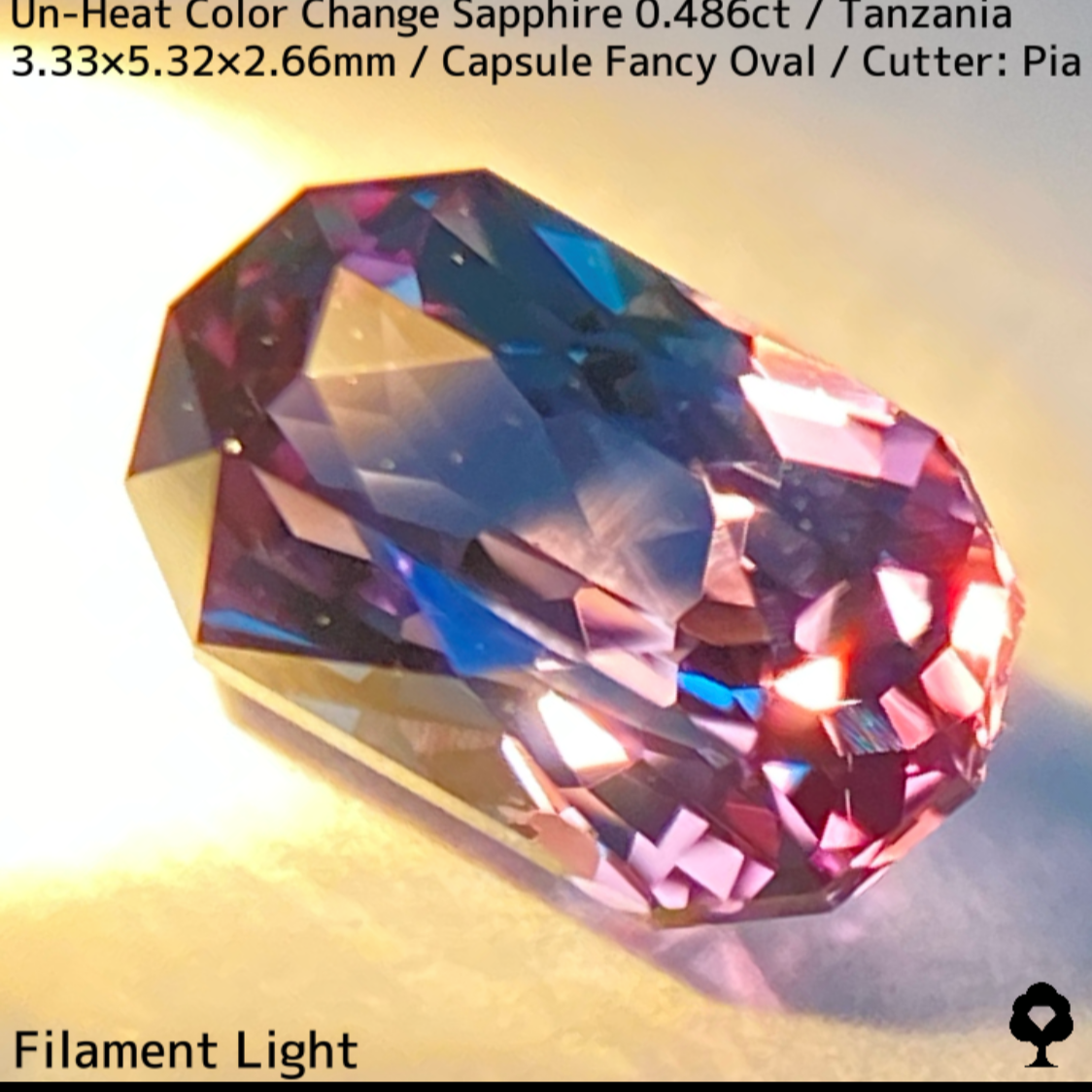 タンザニア産非加熱カラーチェンジサファイア0.486ct★深みの中に潜む多色感とゴールドシルクの銀河広がる