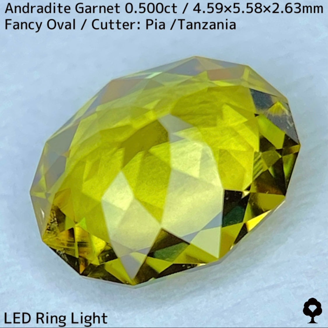アンドラダイトガーネット0.500ct★強烈な煌めきとファイアー溢れるグリニッシュイエロー