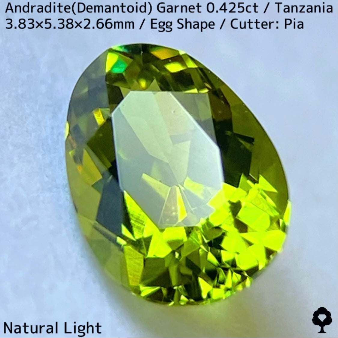 タンザニア産アンドラダイト(デマントイド)ガーネット0.425ct★程よい濃さの美グリーンから煌めき止まらないキュートなエッグシェイプ