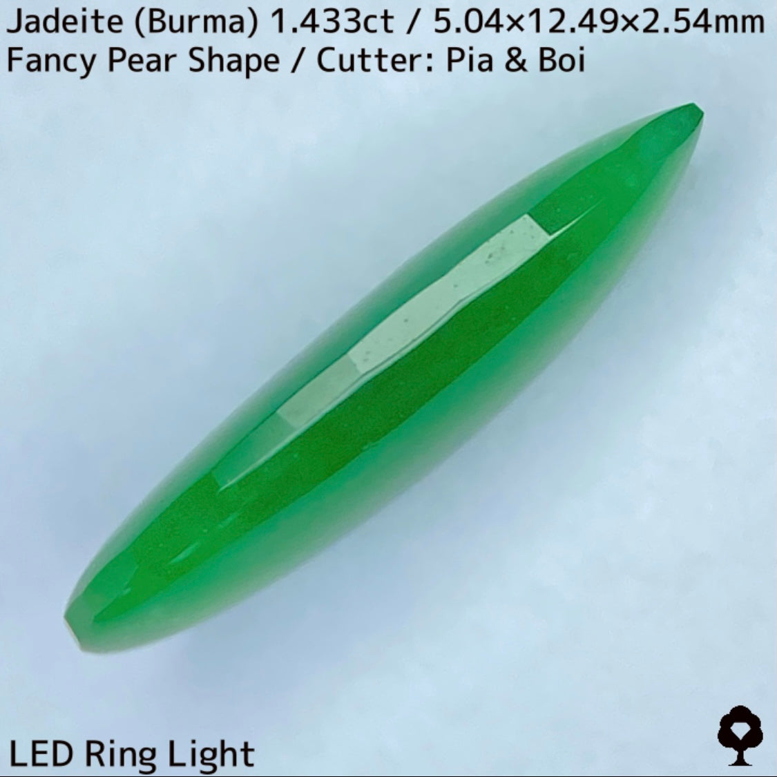 翡翠1.433ct★明るい美グリーンのマスターストーンはGTJならではのさりげなく輪郭が縁取られたツヤツヤファンシーペアシェイプ