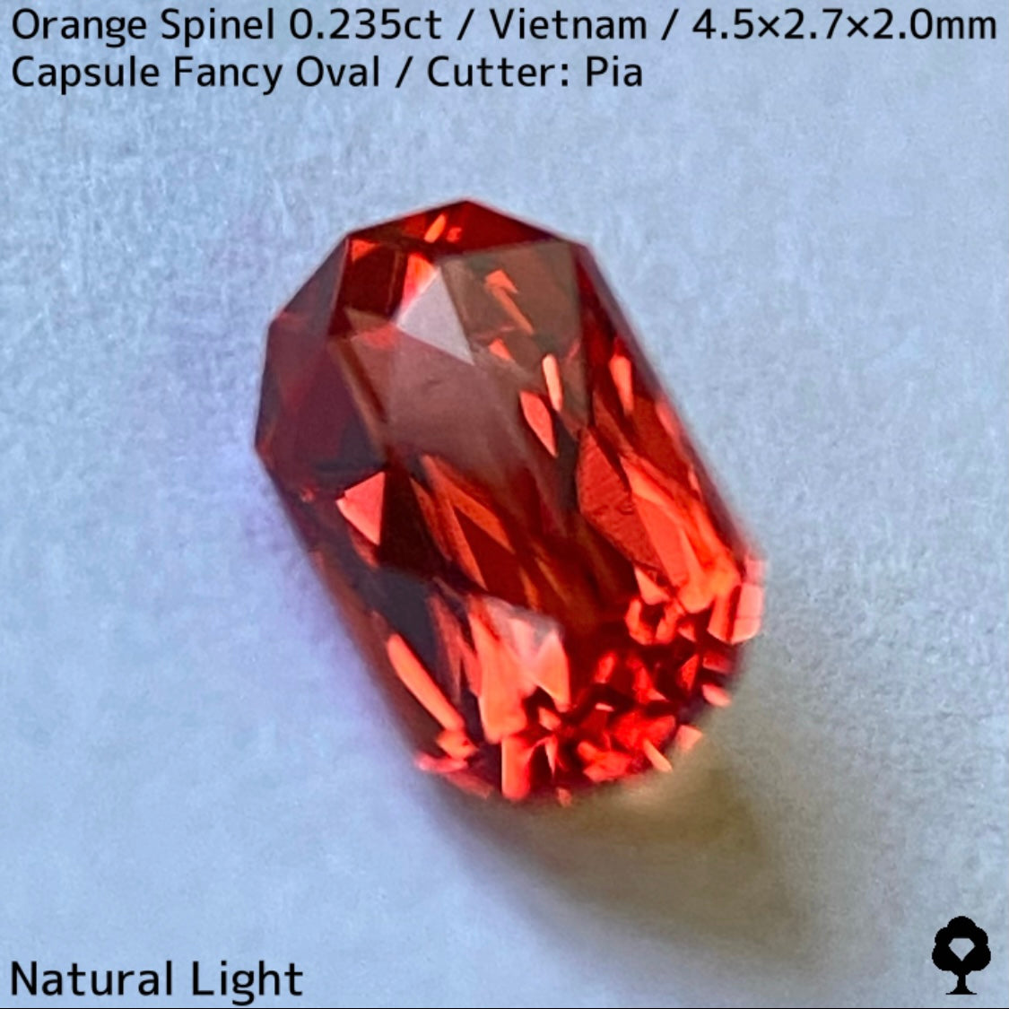 ベトナム産オレンジスピネル0.235ct★超美結晶のカプセルシザースから強烈オレンジネオンの煌めき