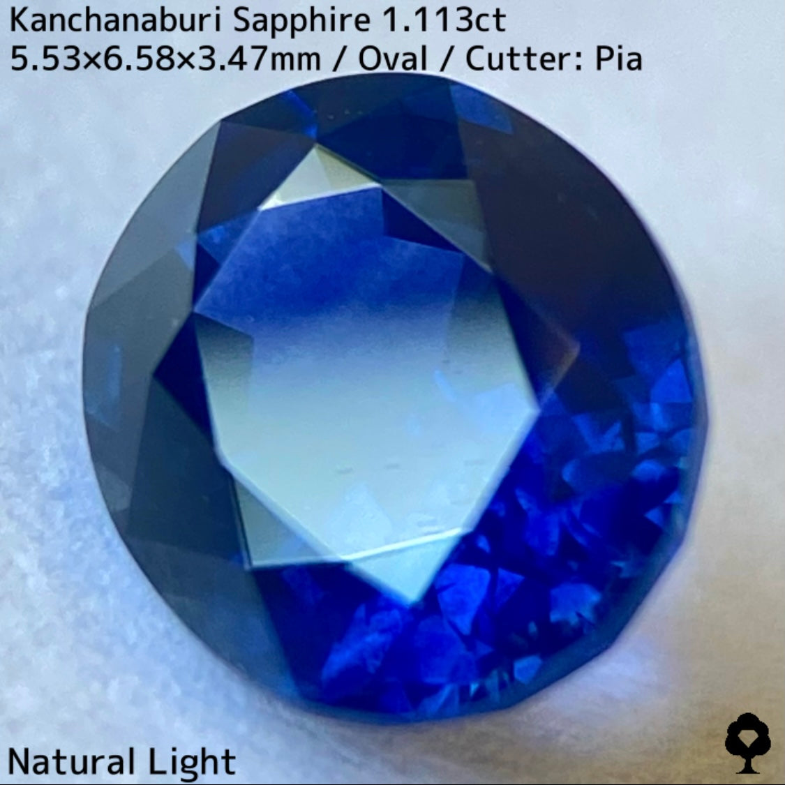 カンチャナブリー産サファイア1.113ct★カンチャらしいシルキーでほんのりグリニッシュなブルーの希少1ctアップ