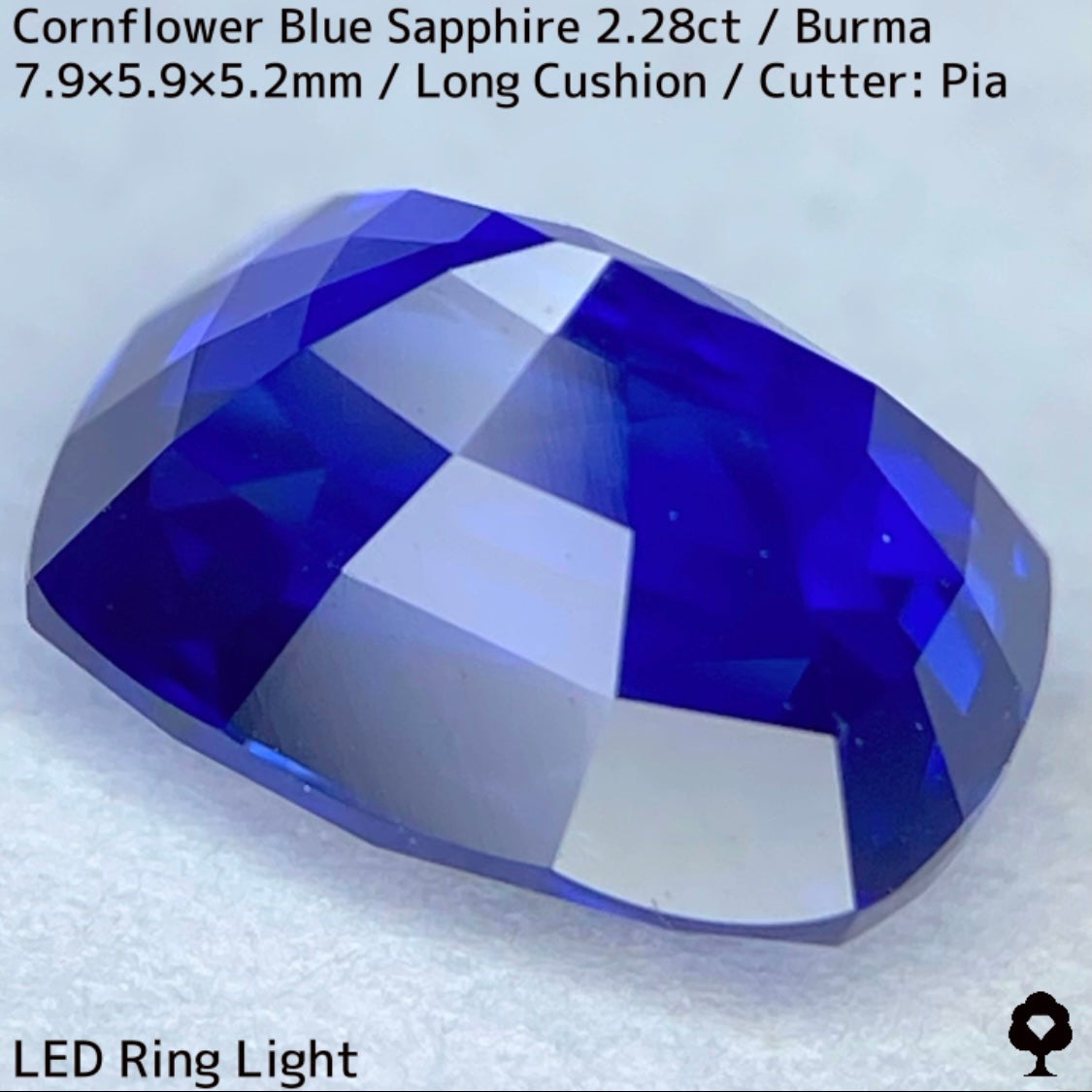ビルマ産コーンフラワーブルーサファイア2.28ct★シルキー感も色合いもプロポーションも最高の希少ビルマ産