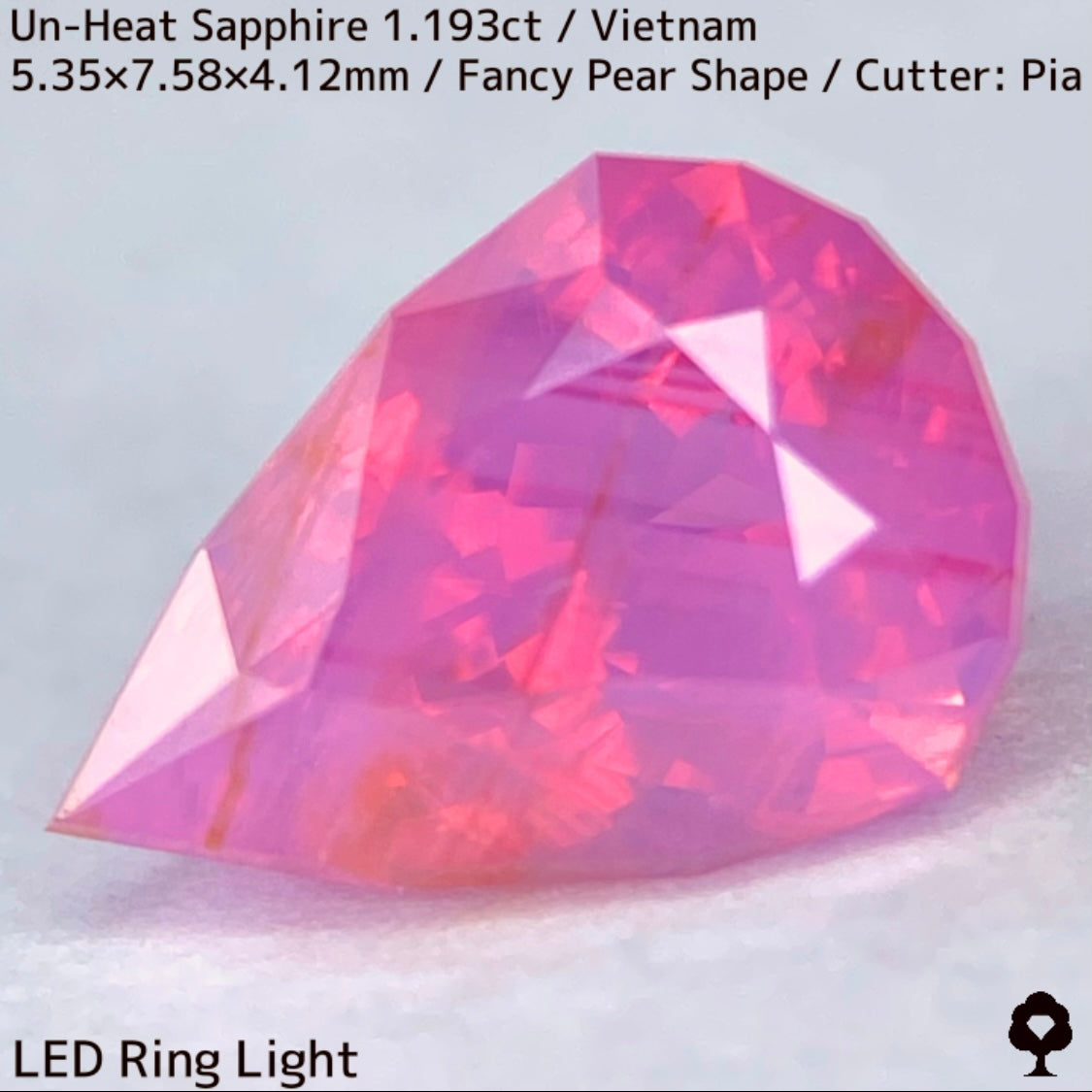 【ご当選者さま専用】ベトナム産非加熱サファイア1.193ct★コランダムフォーカス抽選販売プライス