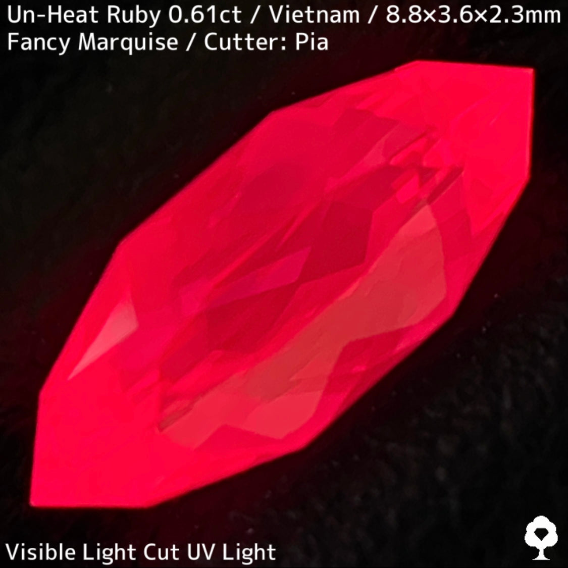 【ご当選者さま専用】ベトナム産非加熱ルビー0.61ct★凄まじいネオンカラー放つ超美結晶の色だまり感たまらない