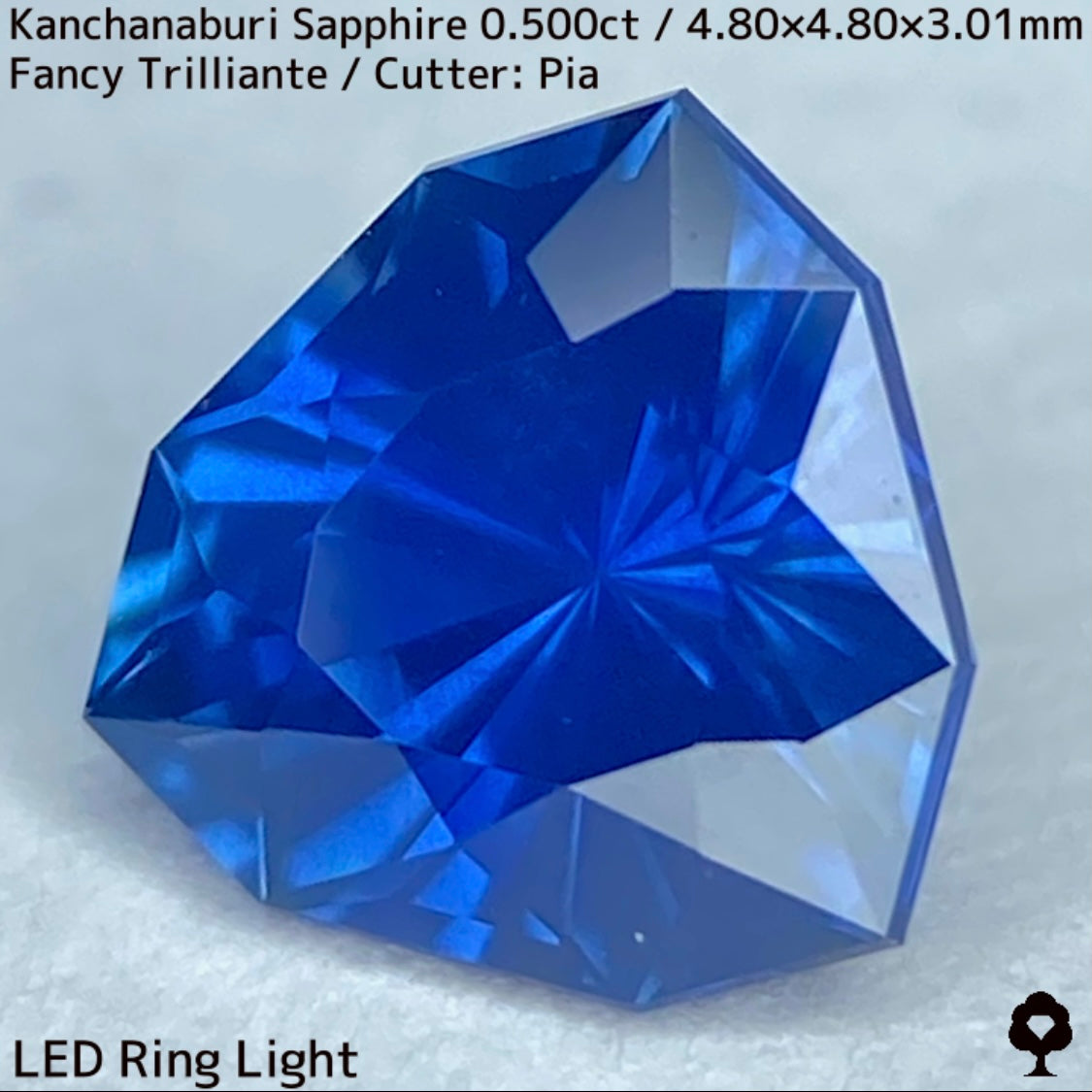 【GW特別企画★30%まほチケキャッシュバック】カンチャナブリー産サファイア0.500ct★シルキーでグリニッシュなカンチャブルーから鋭いナリカーの煌めき