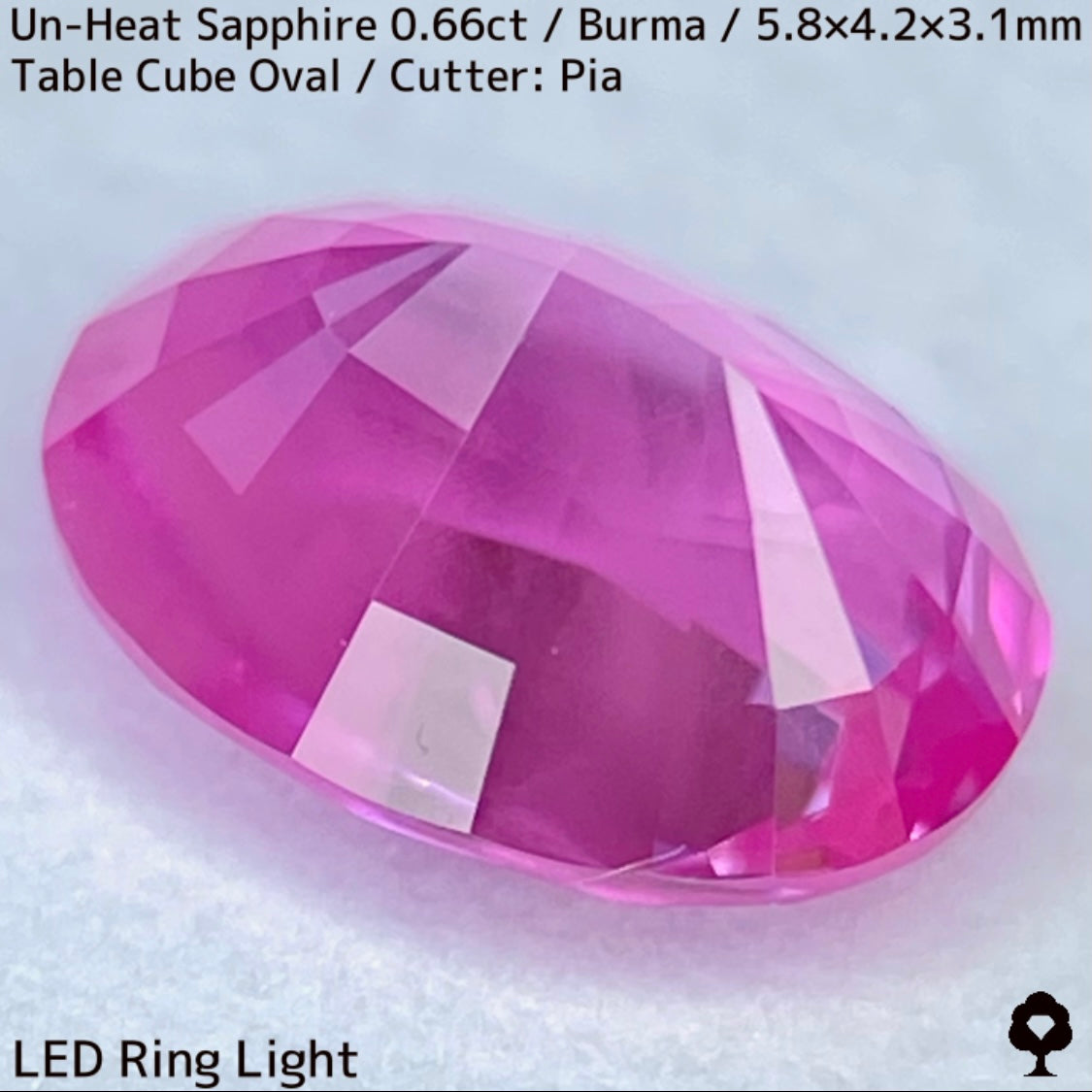 【お客さま専用】ビルマ産非加熱サファイア0.66ct★クリアさもあるシルキーピンクの可愛い強蛍光オーバル