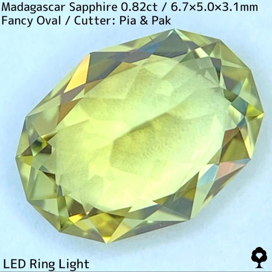 マダガスカル産サファイア0.835ct★煌めき抜群のイエローにブルーの色だまりが混ざるファイアー煌めくライトライムカラー