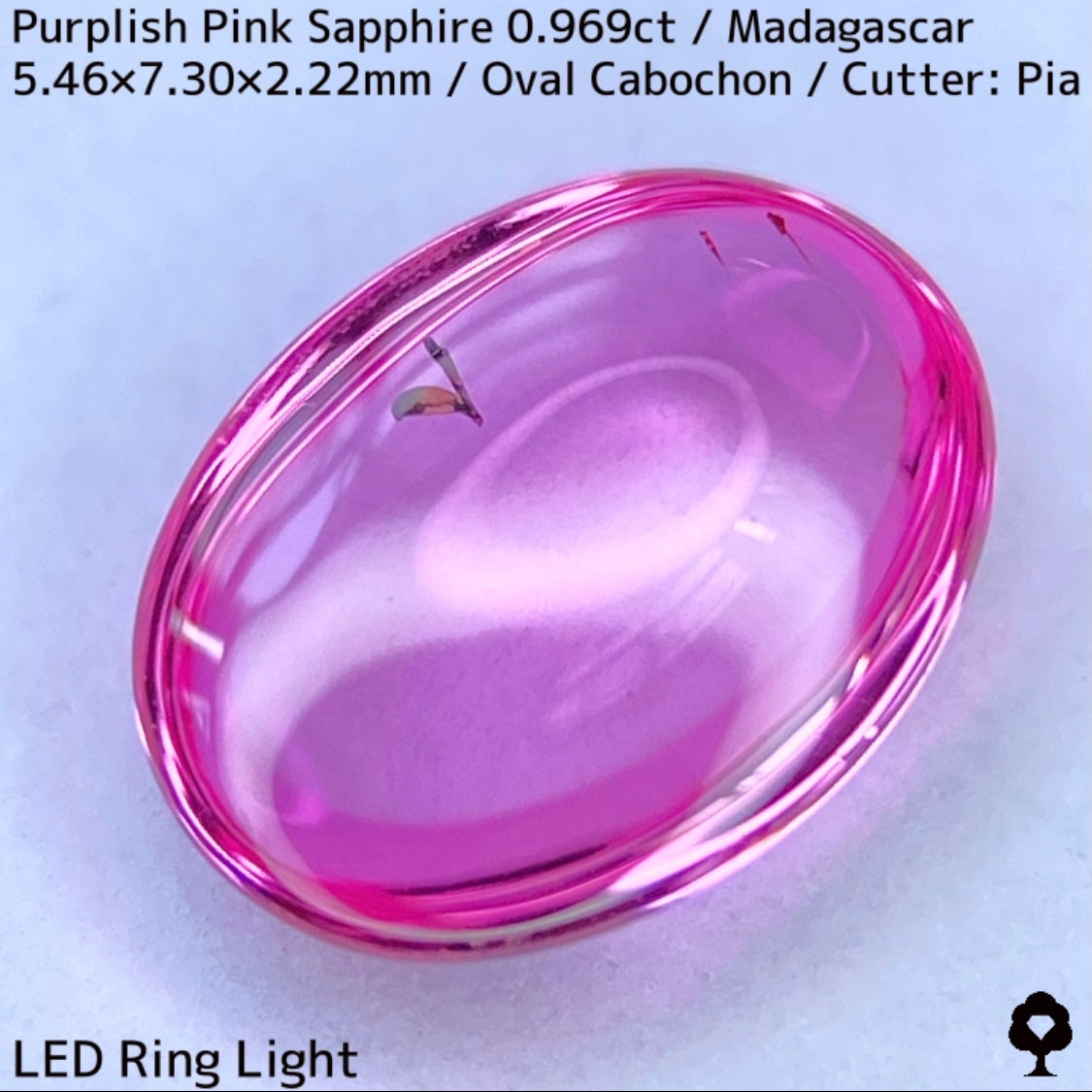 マダガスカル産ピンクサファイア0.969ct★美しい石質の美ピンクに音符のような蝶のようなインクルが可愛い