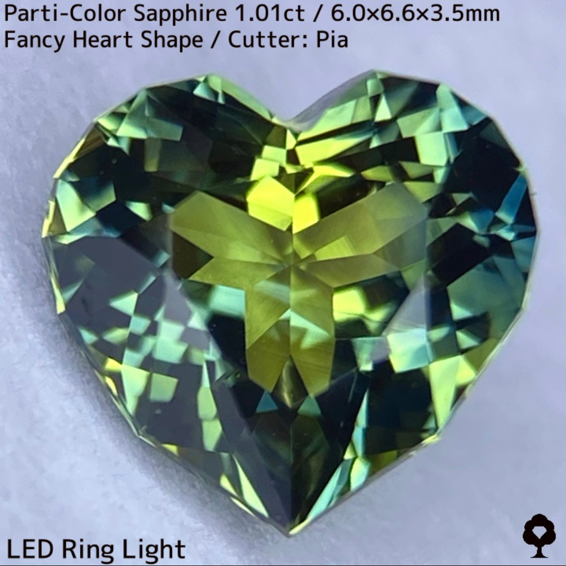 タイ産パーティカラーサファイア1.01ct★バンカチャらしい色合いのパーティ感たまらない希少なファンシーハートシェイプ