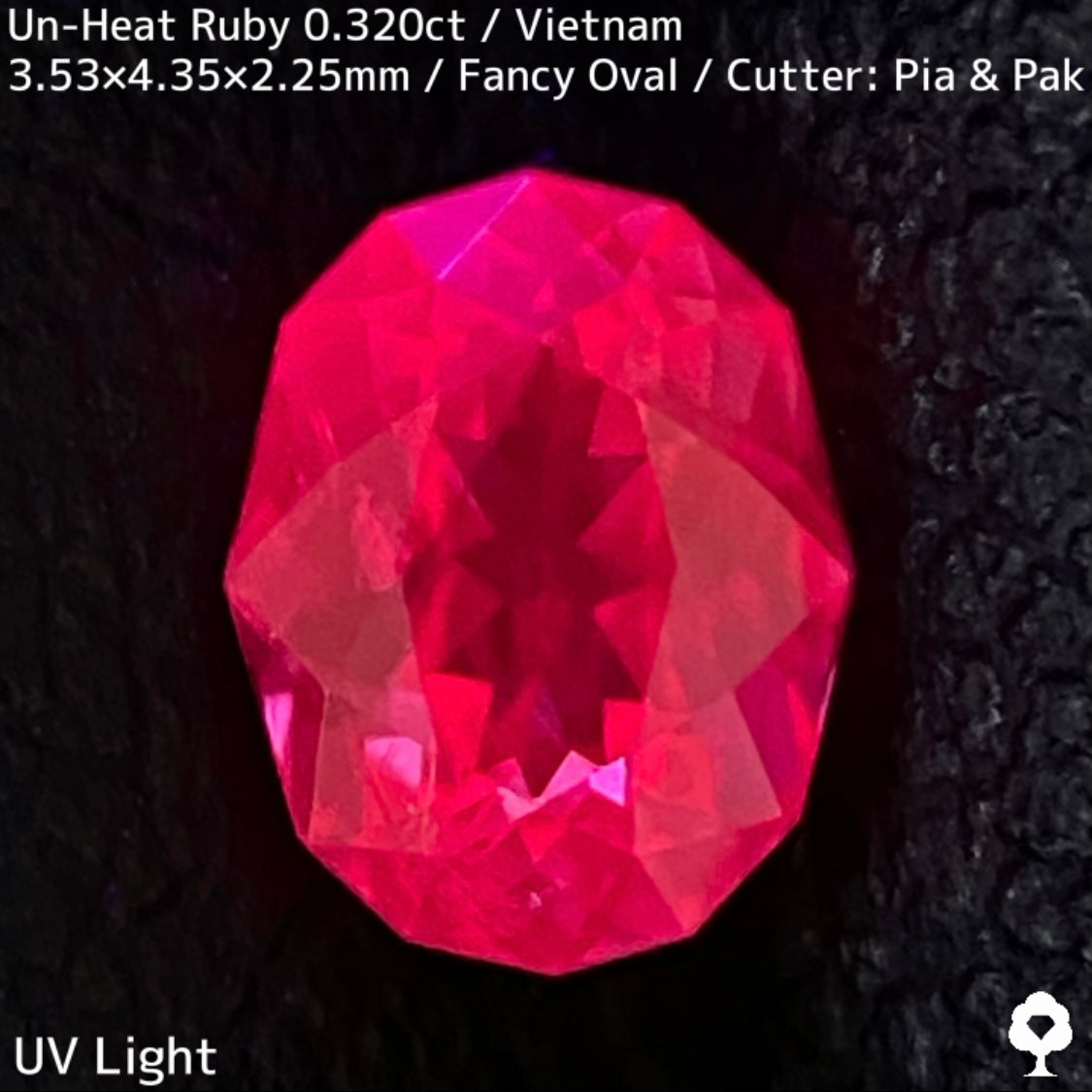 ベトナム産非加熱ルビー0.320ct★ネオンピンクの煌めき溢れる花咲くファンシーオーバル