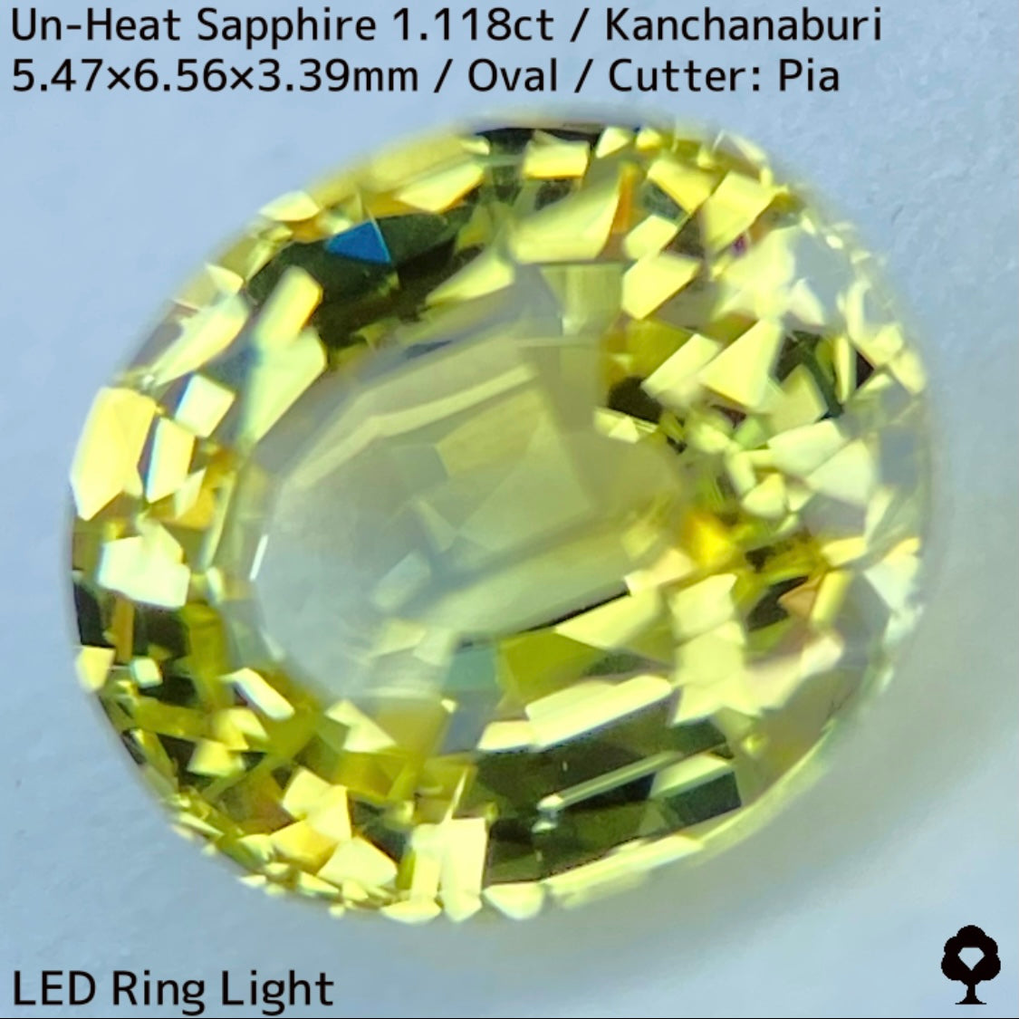 カンチャナブリー産非加熱サファイア1.118ct★弾けるライトグリニッシュイエローの強く美しい煌めき