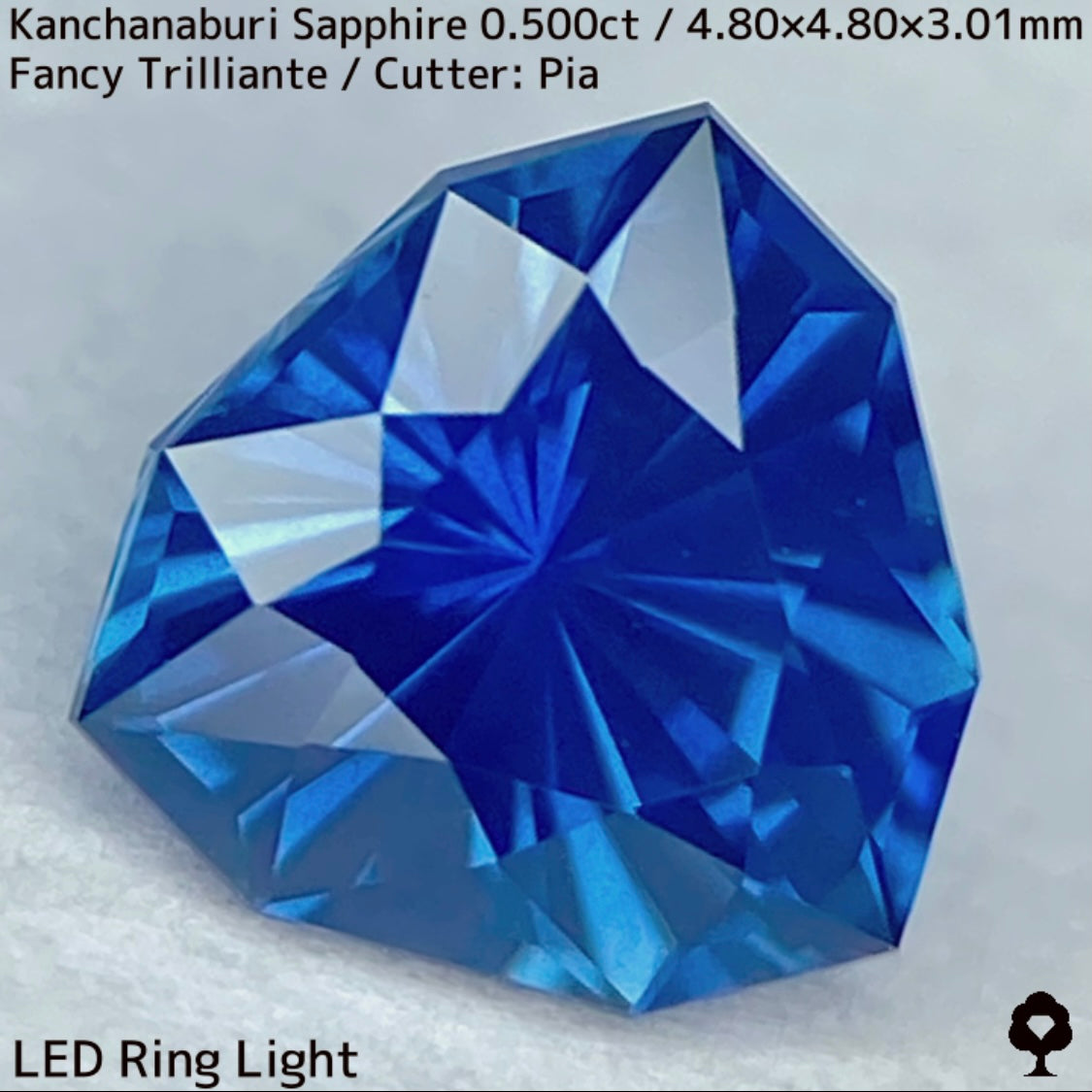 【GW特別企画★30%まほチケキャッシュバック】カンチャナブリー産サファイア0.500ct★シルキーでグリニッシュなカンチャブルーから鋭いナリカーの煌めき