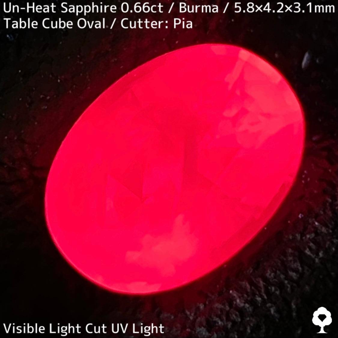 【お客さま専用】ビルマ産非加熱サファイア0.66ct★クリアさもあるシルキーピンクの可愛い強蛍光オーバル