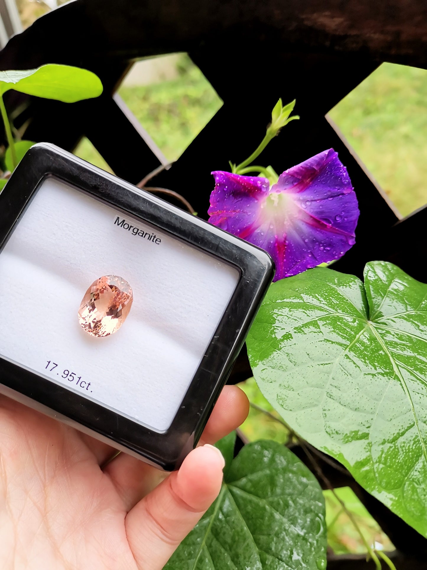 品質高い大粒の傑作!今後の登場が難しいレベルの逸品 / モルガナイト 17.951ct