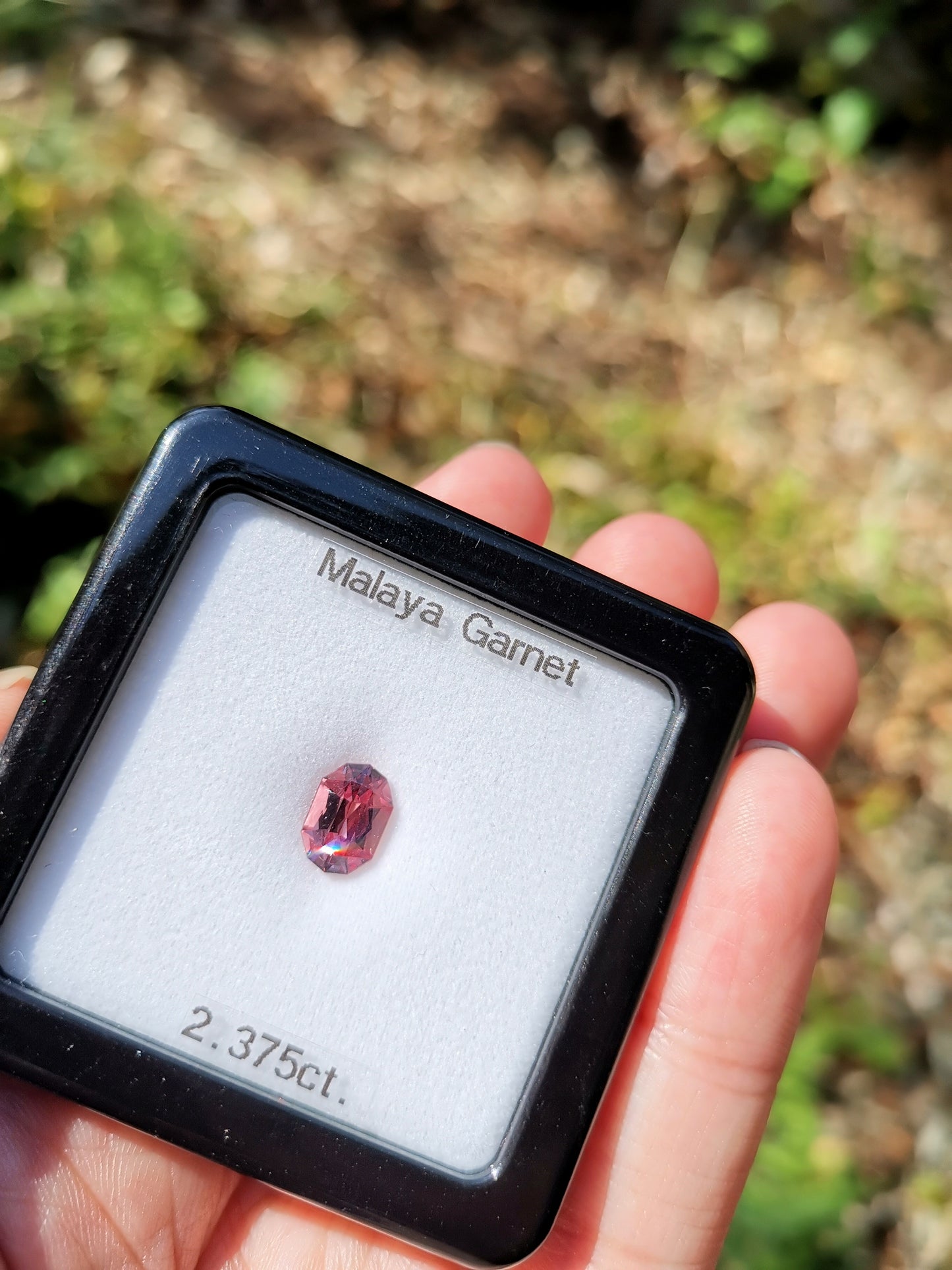 新カットカプセルシザース!色、透明度、カットが揃った マラヤガーネット 2.375ct