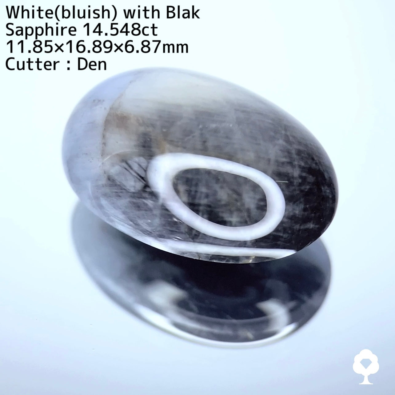 【ワンプライス】タンザニア産 「ホワイトwithブラック」サファイア 14.548ct / Den作品