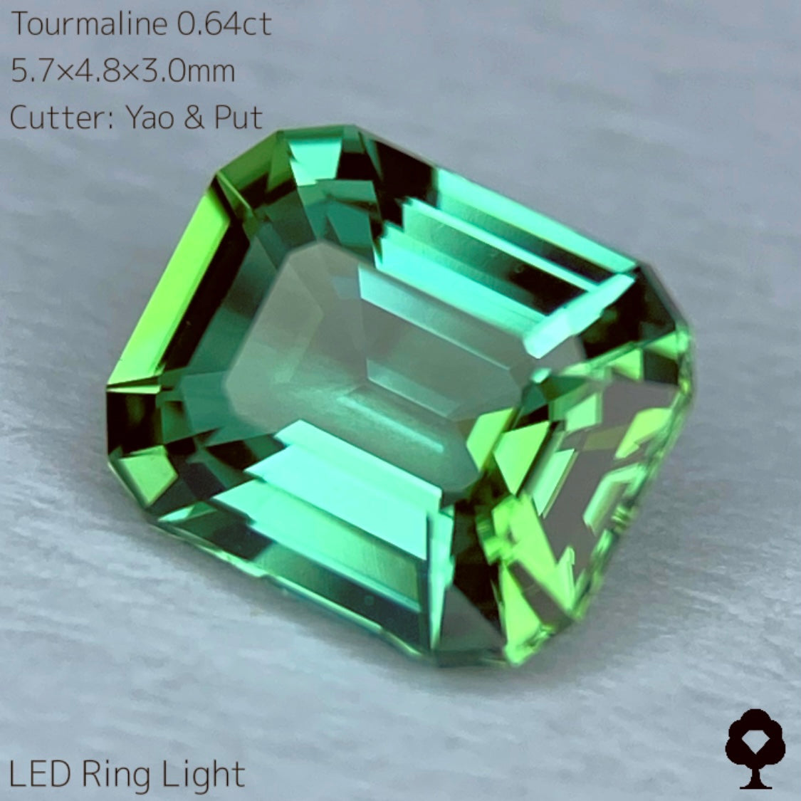 【SOLD OUT】リーフィーグリーンとアップルグリーンのトルマリン0.64ct★Live配信限定プライス