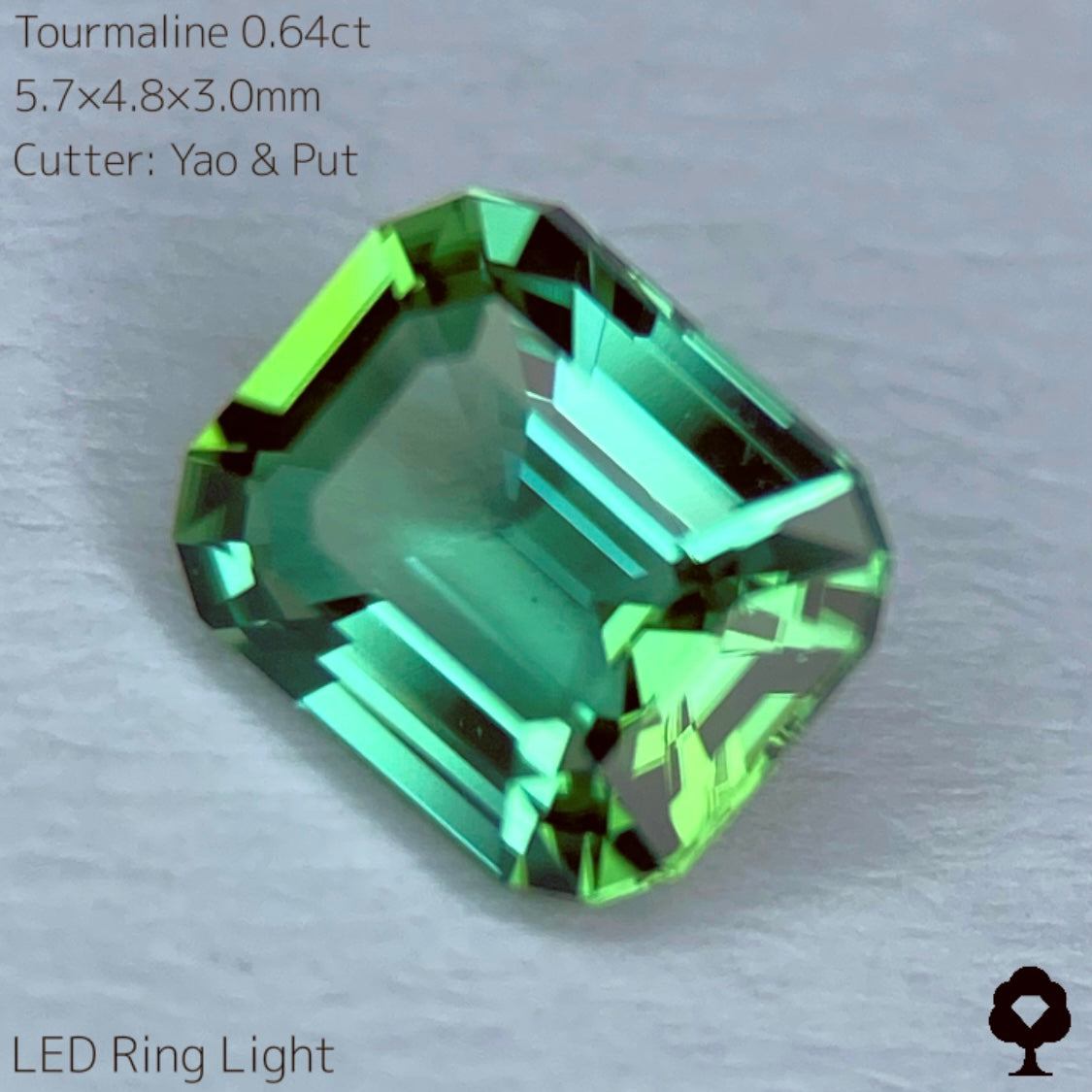 【SOLD OUT】リーフィーグリーンとアップルグリーンのトルマリン0.64ct★Live配信限定プライス