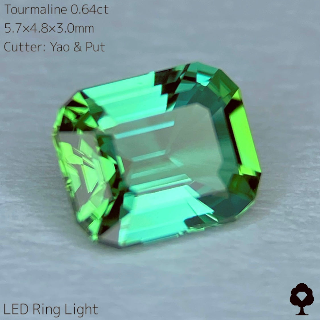 【SOLD OUT】リーフィーグリーンとアップルグリーンのトルマリン0.64ct★Live配信限定プライス