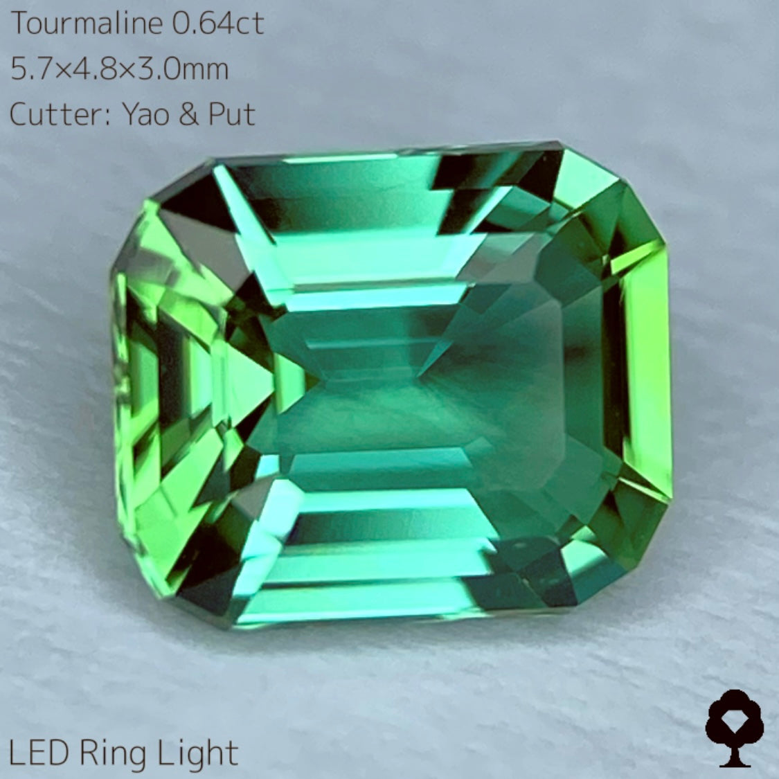 【SOLD OUT】リーフィーグリーンとアップルグリーンのトルマリン0.64ct★Live配信限定プライス