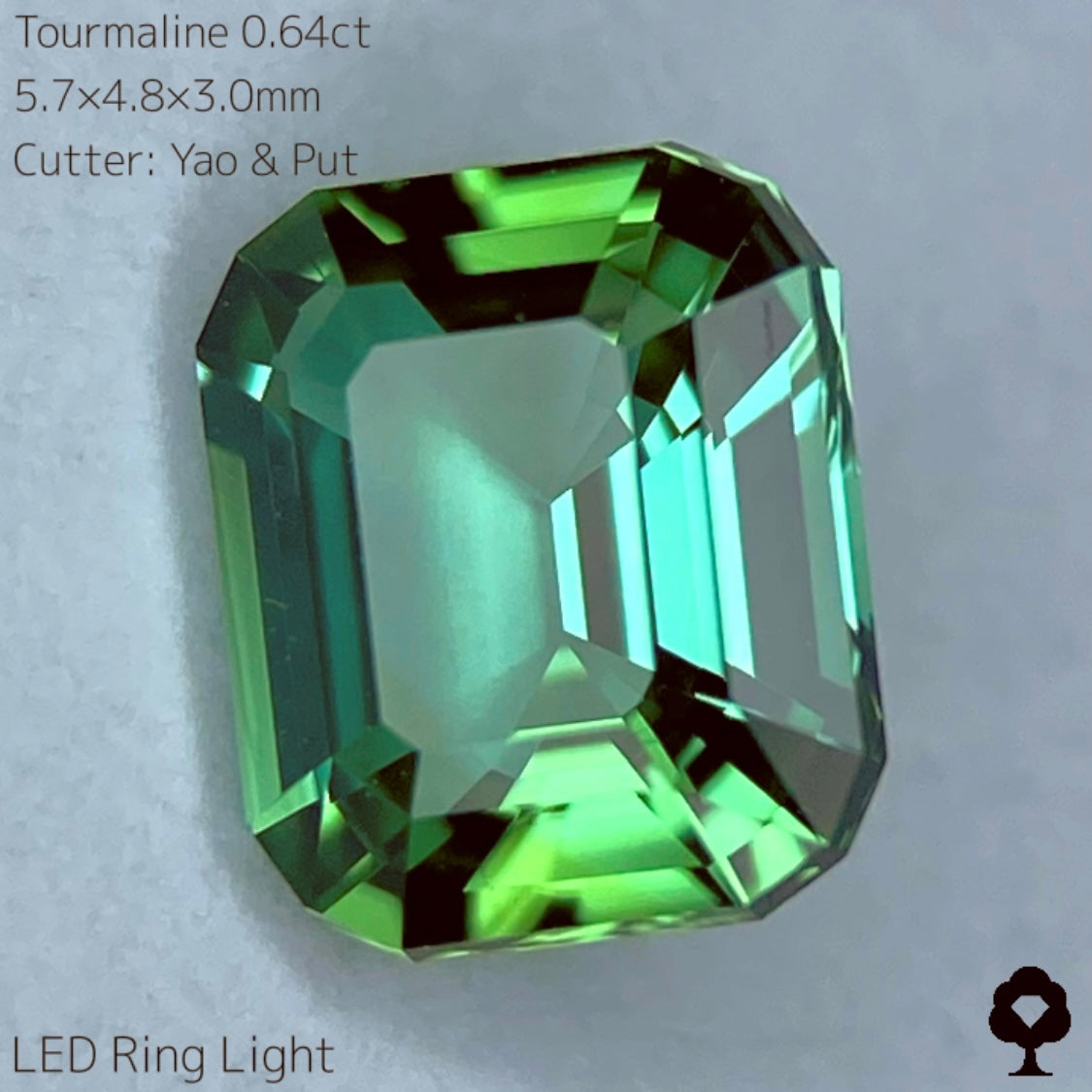【SOLD OUT】リーフィーグリーンとアップルグリーンのトルマリン0.64ct★Live配信限定プライス