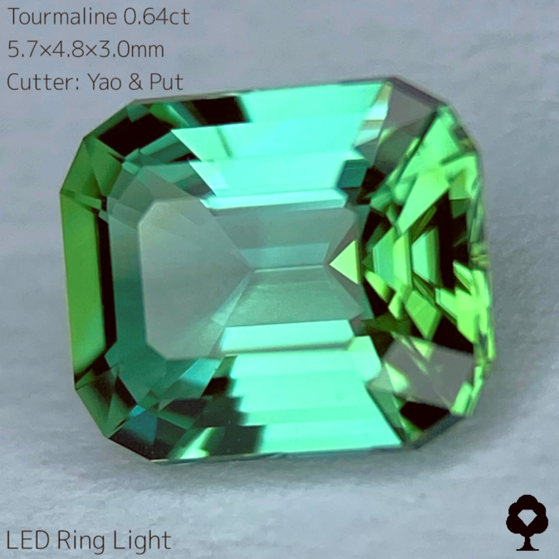 【SOLD OUT】リーフィーグリーンとアップルグリーンのトルマリン0.64ct★Live配信限定プライス