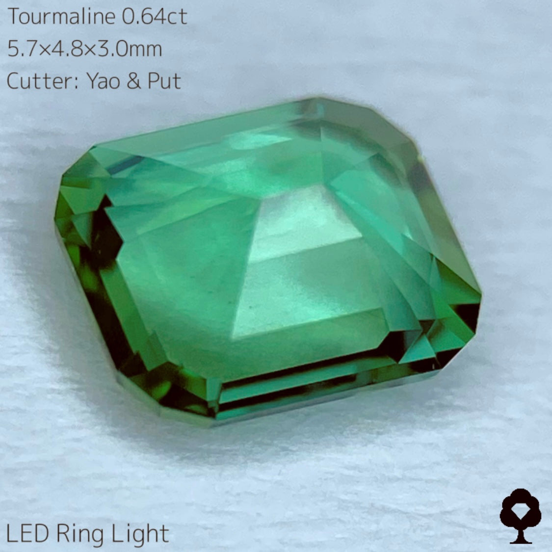 【SOLD OUT】リーフィーグリーンとアップルグリーンのトルマリン0.64ct★Live配信限定プライス