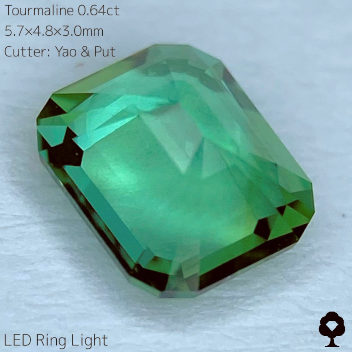 【SOLD OUT】リーフィーグリーンとアップルグリーンのトルマリン0.64ct★Live配信限定プライス