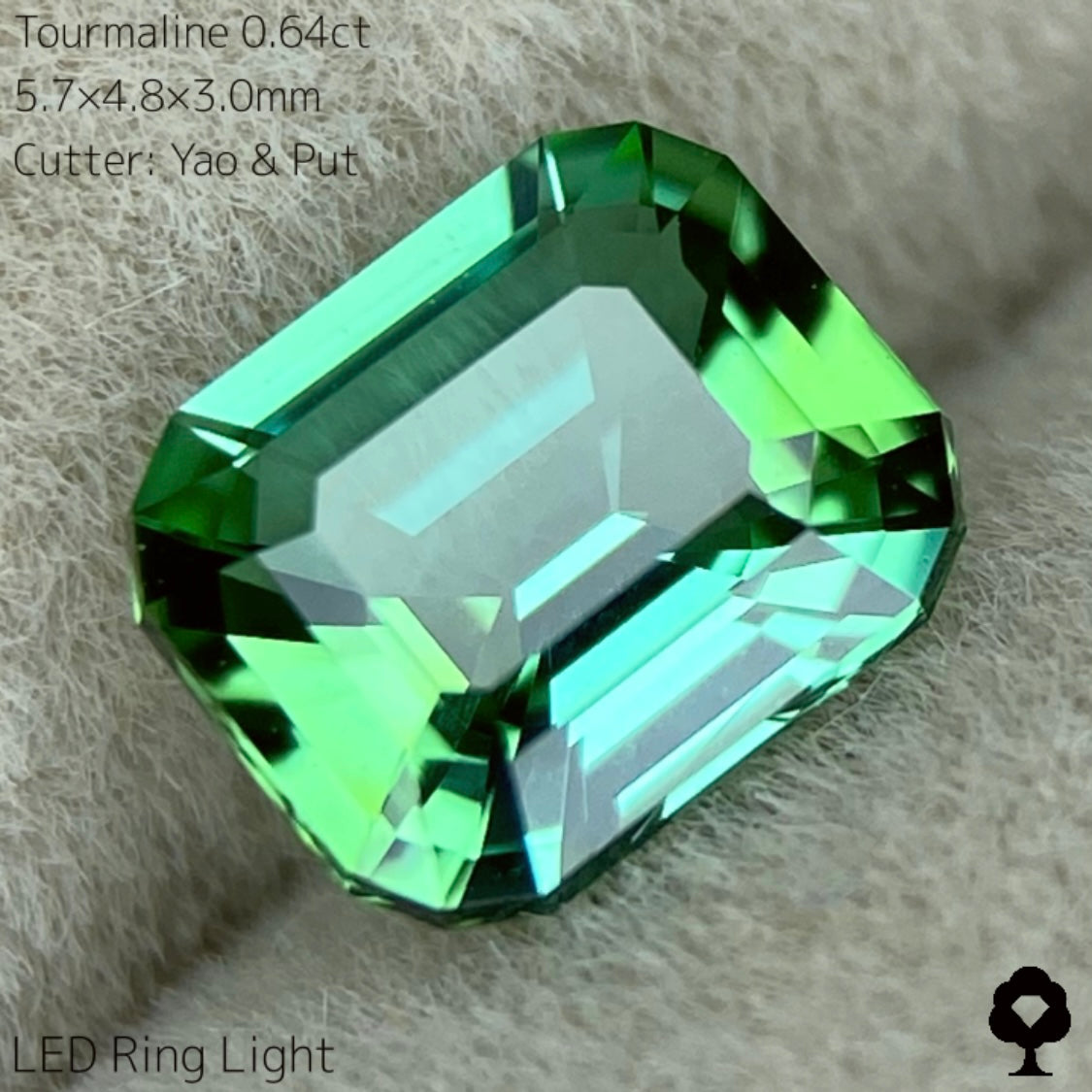【SOLD OUT】リーフィーグリーンとアップルグリーンのトルマリン0.64ct★Live配信限定プライス