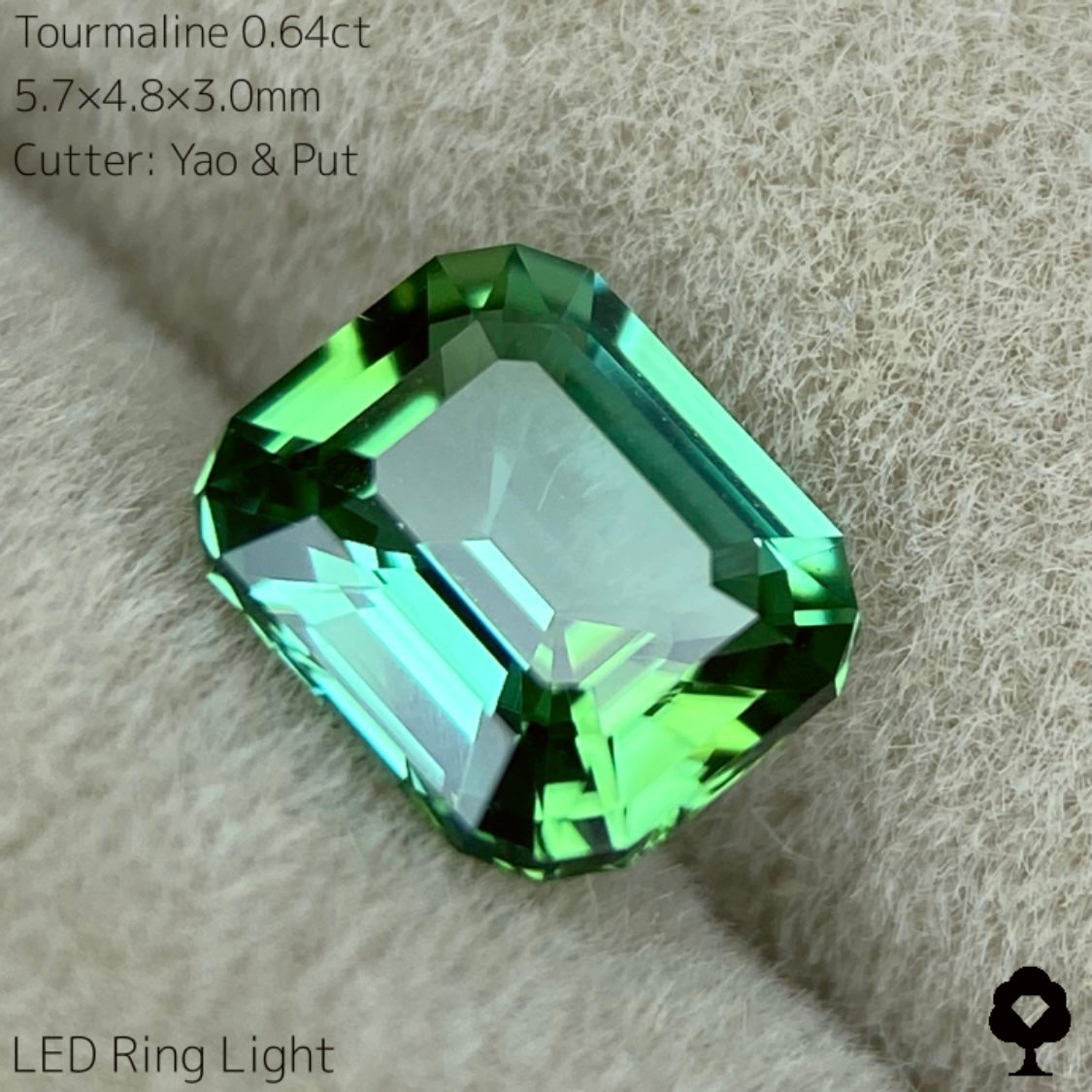 【SOLD OUT】リーフィーグリーンとアップルグリーンのトルマリン0.64ct★Live配信限定プライス