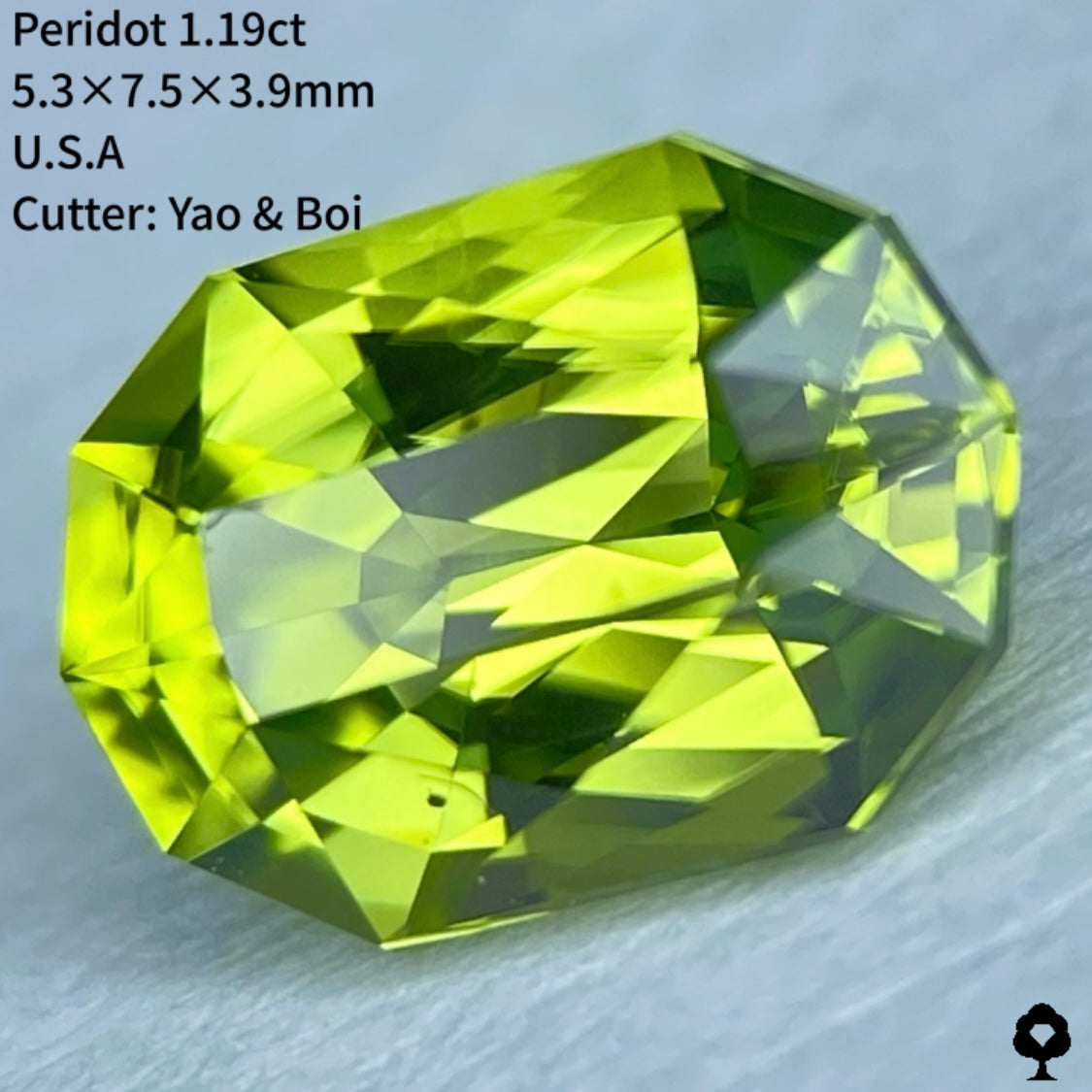 【10/30(月)その場で勝手にチャットプレキャン💎福袋杯🎁【ご当選者さま専用】ペリドット1.19ct