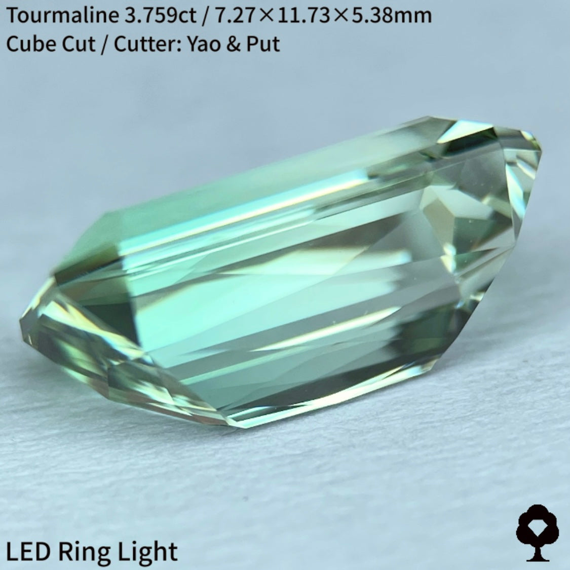 チョーーーおすすめワンプライス【ライトカラー部シザース課へようこそ】ライトミントアップルからカラーレスへ向かうグラデーションがたまらないシザースカット★トルマリン3.759ct
