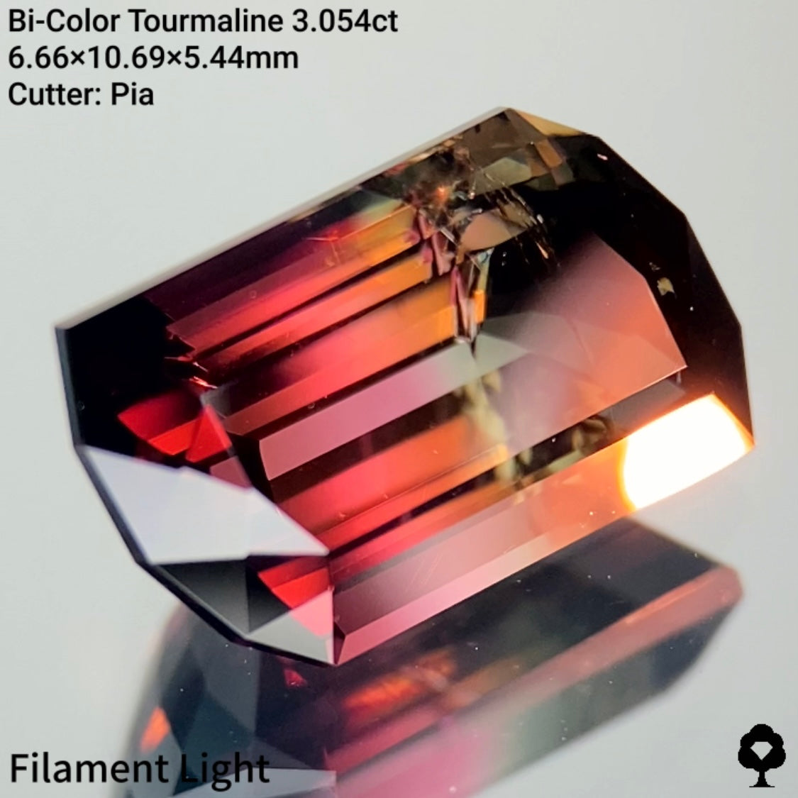 【ご当選者さま専用】一期一会の渋き濃色に挟まれたピンクとカラーレスが絶妙なシェイプに★パーティカラートルマリン3.054ct