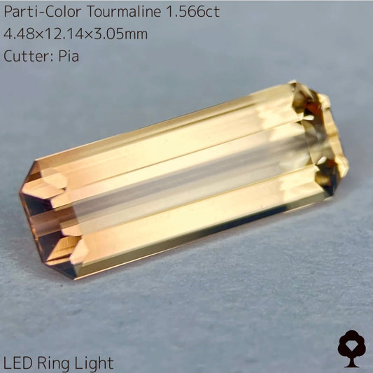 高貴で品のある色合いの美結晶ロングオクタゴン★パーティカラートルマリン1.566ct