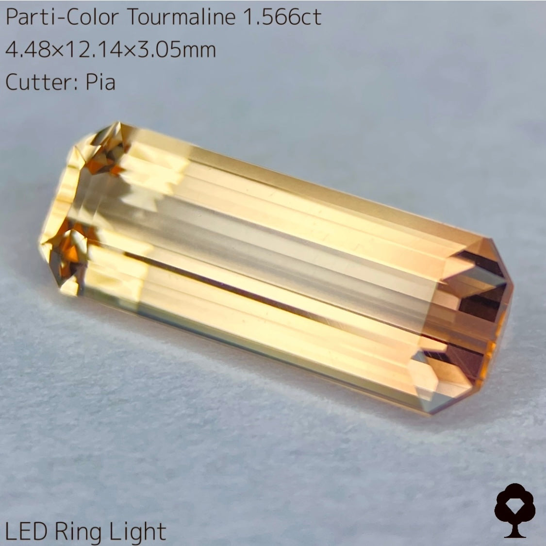 高貴で品のある色合いの美結晶ロングオクタゴン★パーティカラートルマリン1.566ct