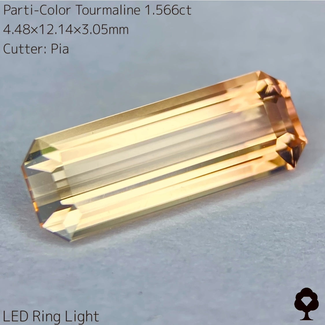 高貴で品のある色合いの美結晶ロングオクタゴン★パーティカラートルマリン1.566ct