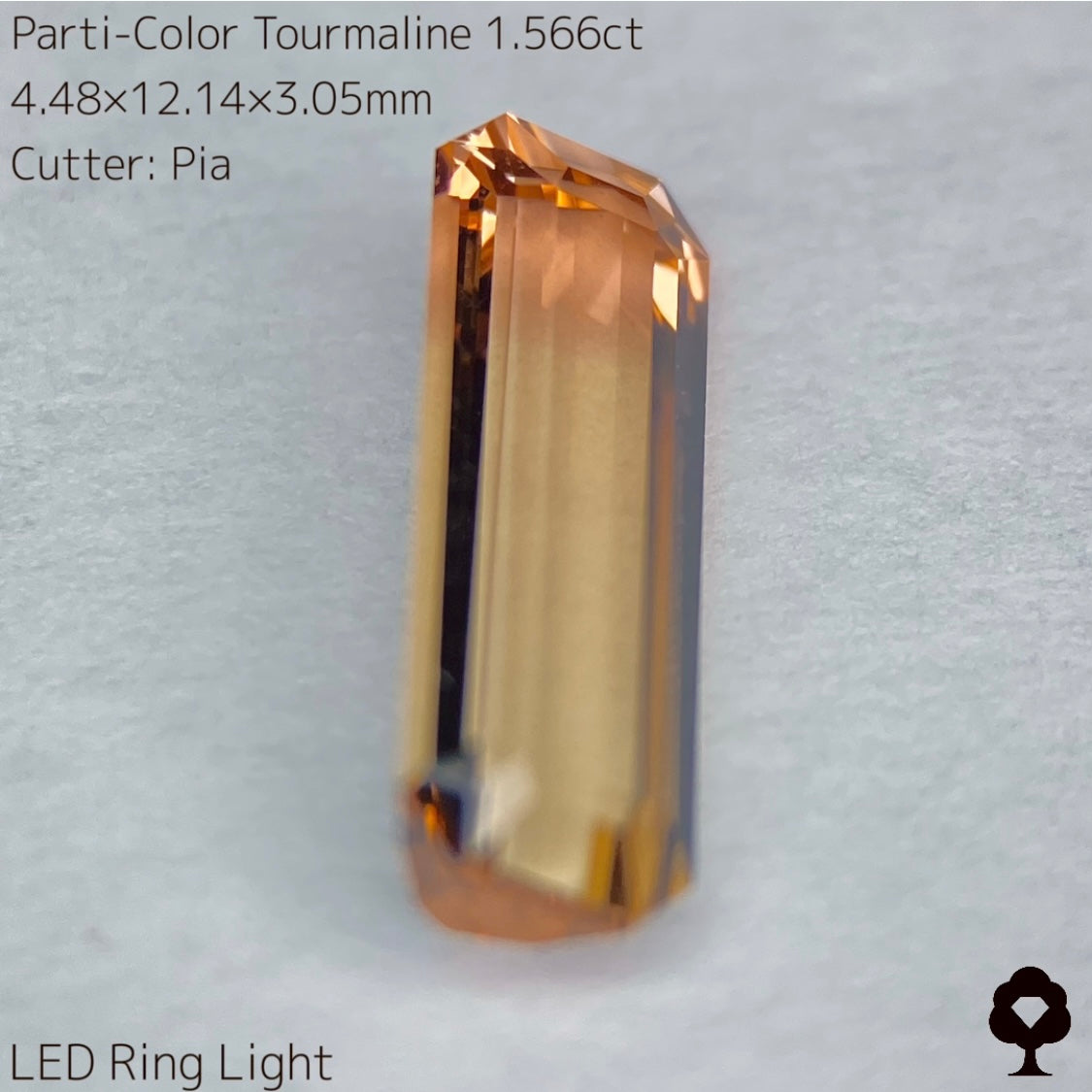 高貴で品のある色合いの美結晶ロングオクタゴン★パーティカラートルマリン1.566ct