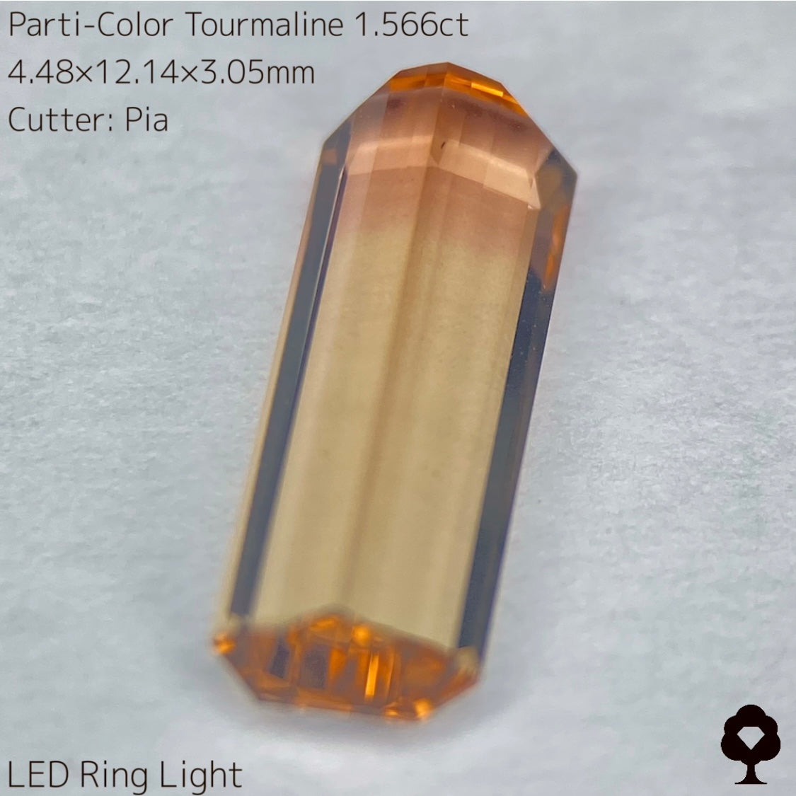 高貴で品のある色合いの美結晶ロングオクタゴン★パーティカラートルマリン1.566ct