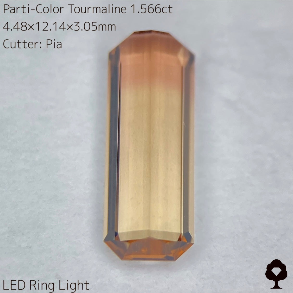 高貴で品のある色合いの美結晶ロングオクタゴン★パーティカラートルマリン1.566ct