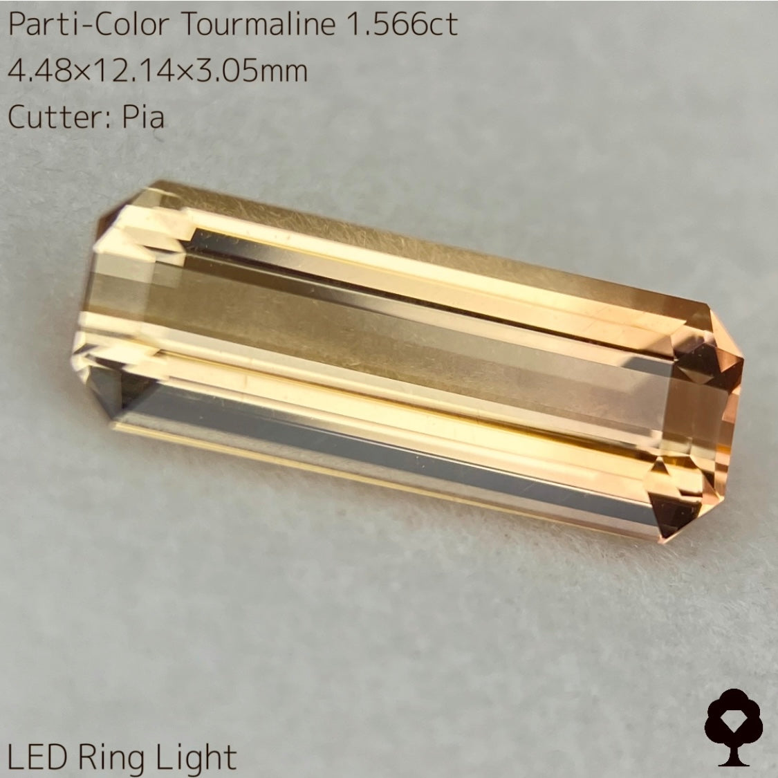 高貴で品のある色合いの美結晶ロングオクタゴン★パーティカラートルマリン1.566ct