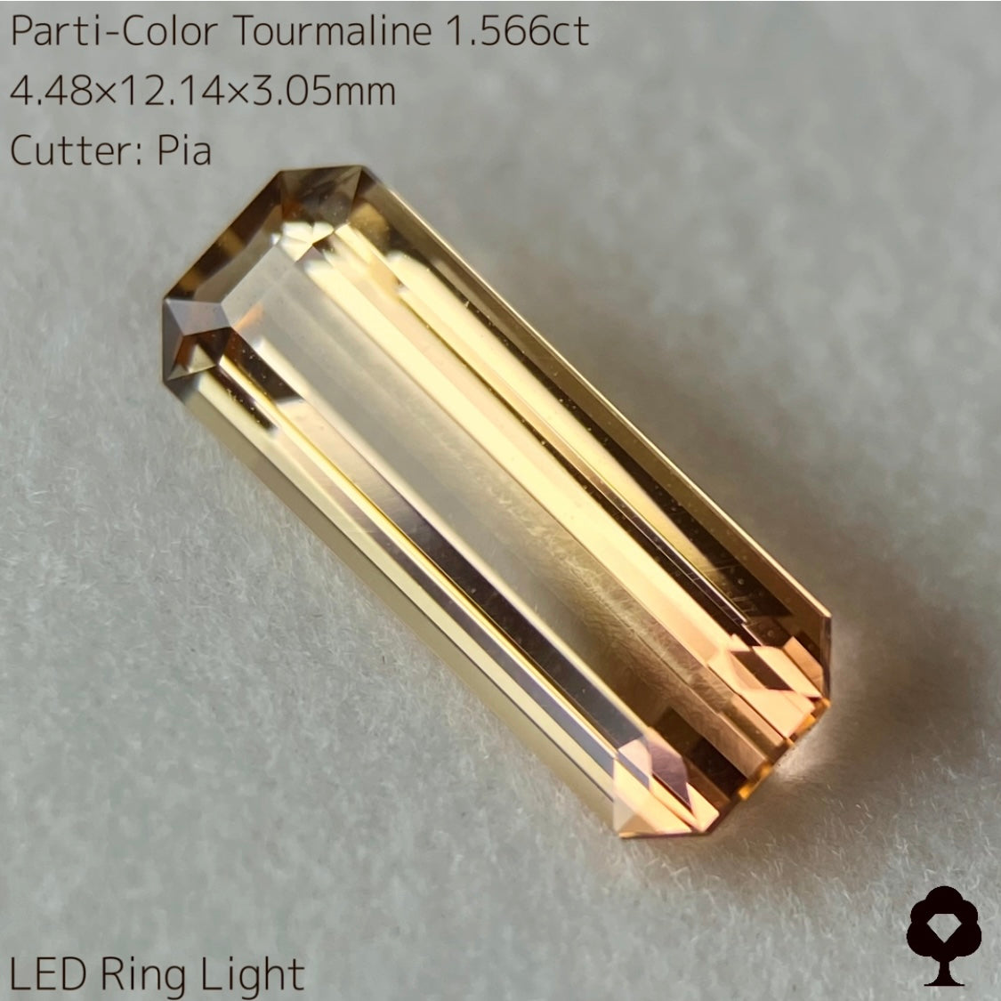 高貴で品のある色合いの美結晶ロングオクタゴン★パーティカラートルマリン1.566ct