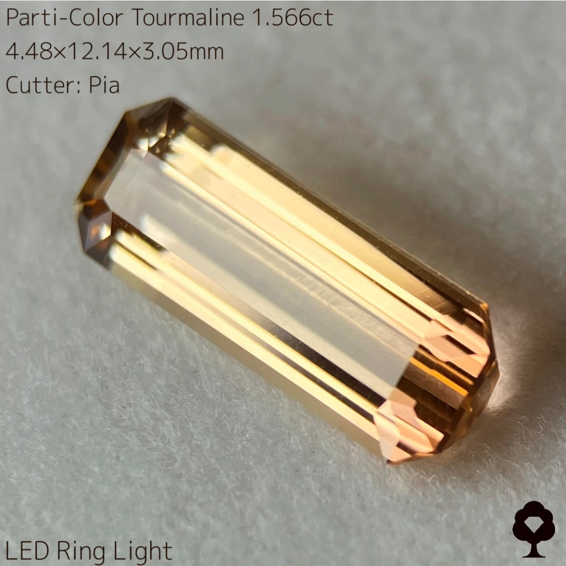高貴で品のある色合いの美結晶ロングオクタゴン★パーティカラートルマリン1.566ct
