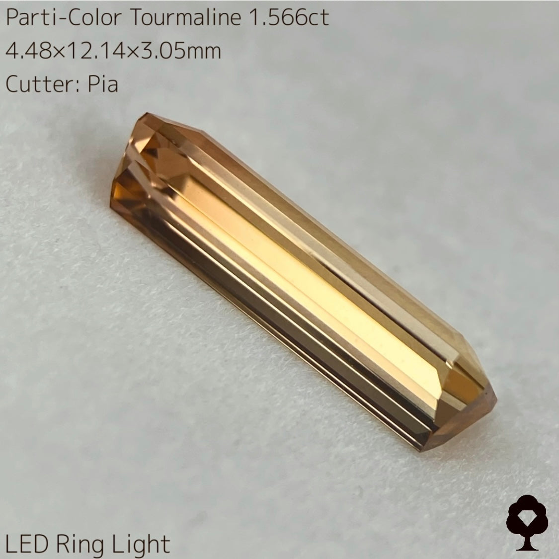 高貴で品のある色合いの美結晶ロングオクタゴン★パーティカラートルマリン1.566ct