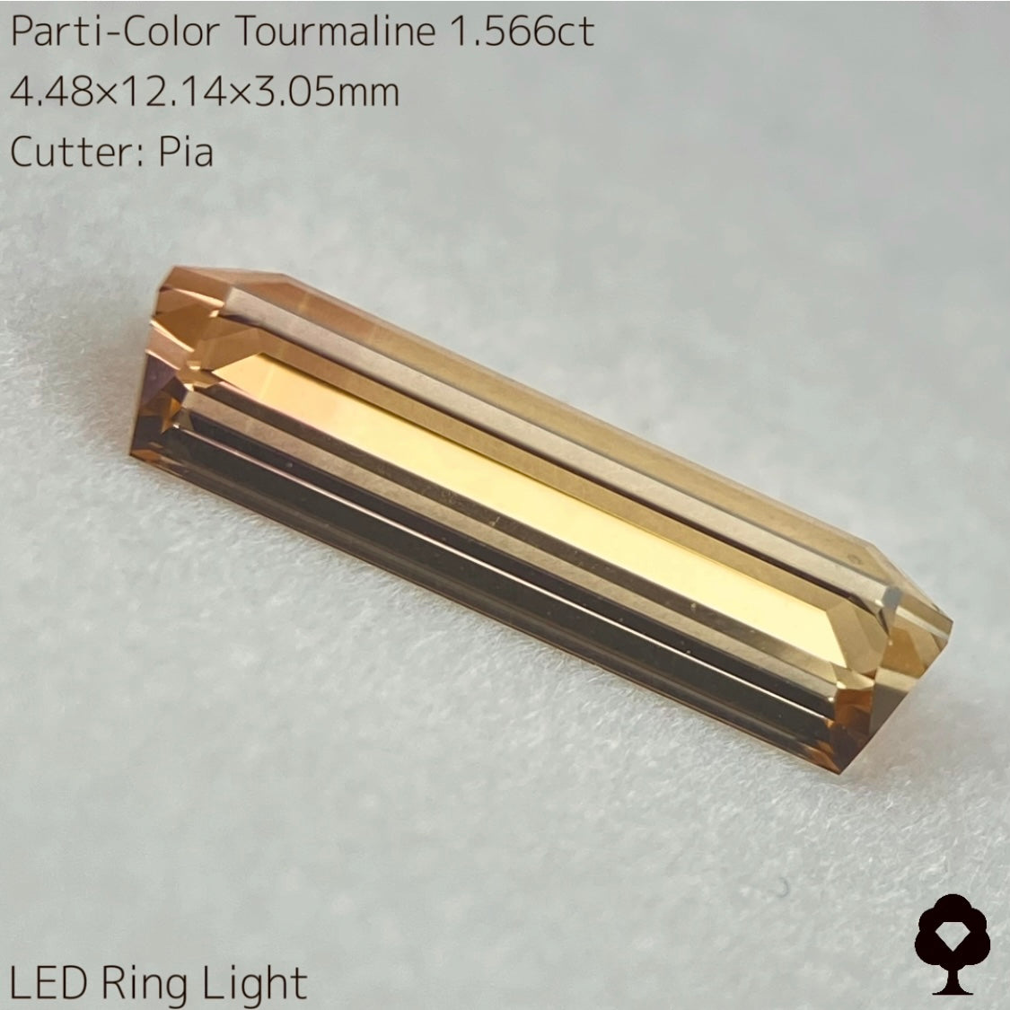 高貴で品のある色合いの美結晶ロングオクタゴン★パーティカラートルマリン1.566ct