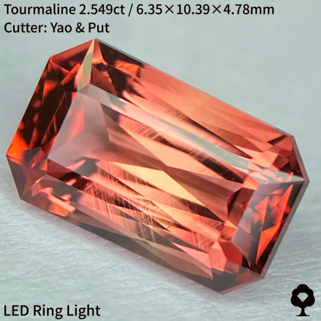 オレンジとピンク混ざるシザースの煌めきとスケッチのような成長線がたまらない★トルマリン2.549ct